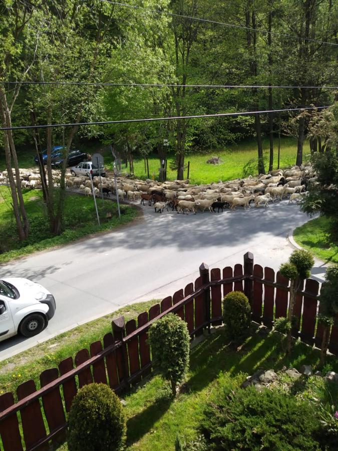 Noclegi Przy Szlaku Agroturystyka Zabnica Dış mekan fotoğraf