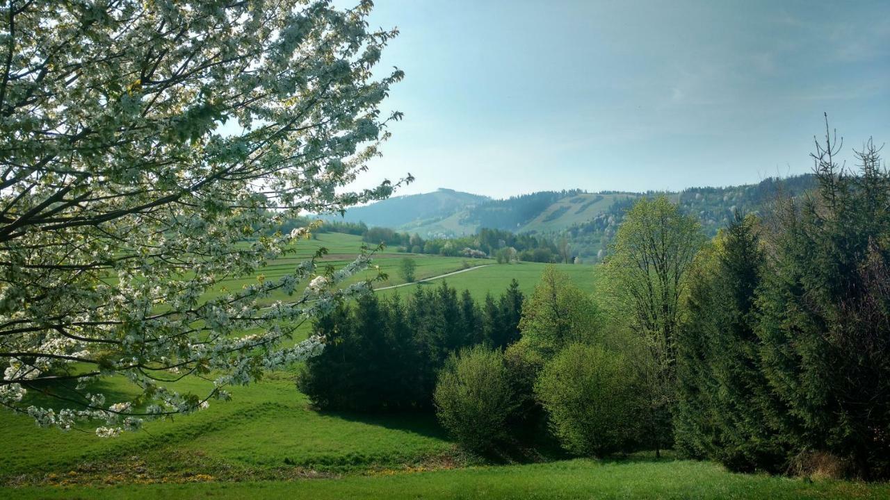 Noclegi Przy Szlaku Agroturystyka Zabnica Dış mekan fotoğraf