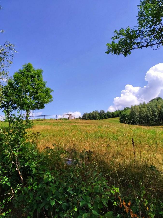 Noclegi Przy Szlaku Agroturystyka Zabnica Dış mekan fotoğraf
