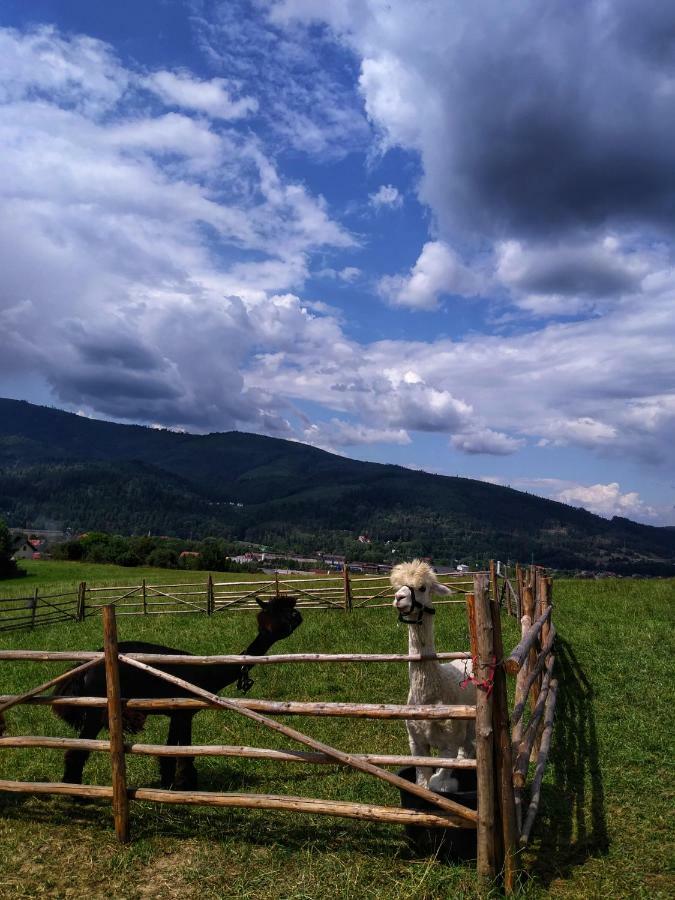 Noclegi Przy Szlaku Agroturystyka Zabnica Dış mekan fotoğraf