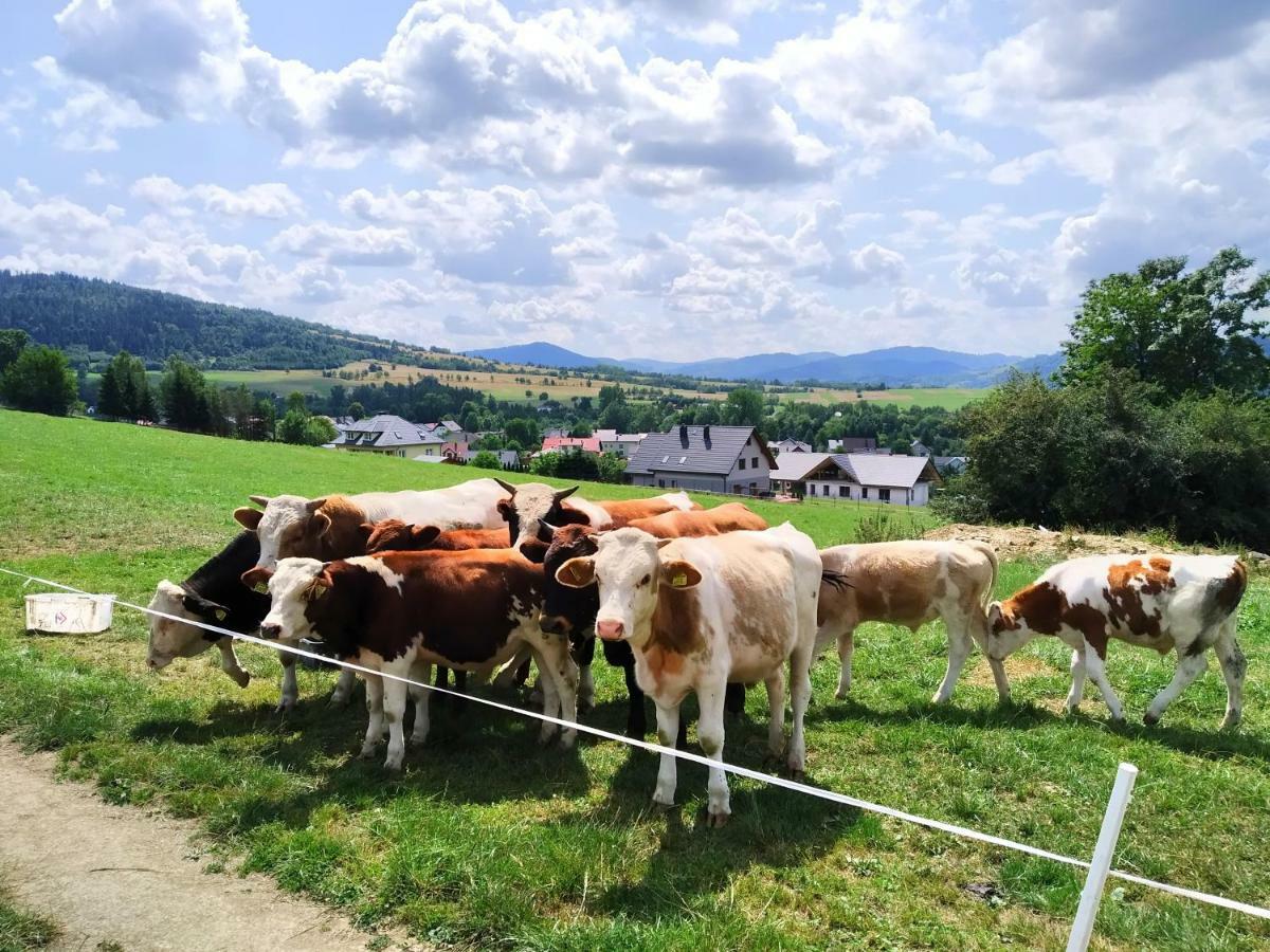 Noclegi Przy Szlaku Agroturystyka Zabnica Dış mekan fotoğraf