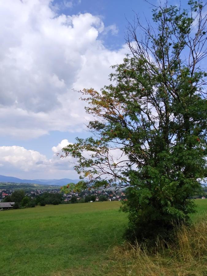 Noclegi Przy Szlaku Agroturystyka Zabnica Dış mekan fotoğraf