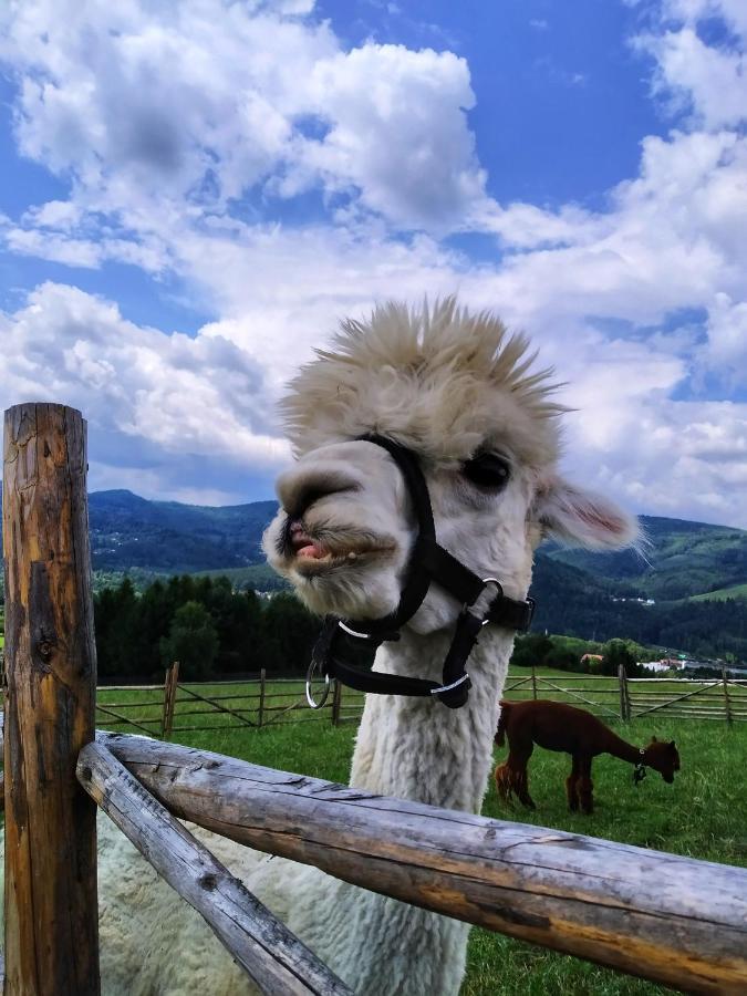 Noclegi Przy Szlaku Agroturystyka Zabnica Dış mekan fotoğraf